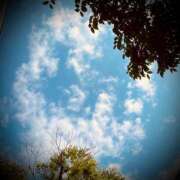 ヒメ日記 2025/06/05 13:02 投稿 浅見怜 五十路マダム 新潟店(カサブランカグループ)