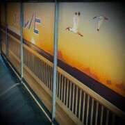 ヒメ日記 2025/06/11 22:20 投稿 浅見怜 五十路マダム 新潟店(カサブランカグループ)