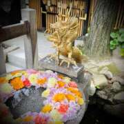 ヒメ日記 2025/06/11 23:04 投稿 浅見怜 五十路マダム 新潟店(カサブランカグループ)