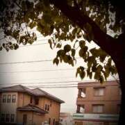 ヒメ日記 2025/06/13 16:02 投稿 浅見怜 五十路マダム 新潟店(カサブランカグループ)