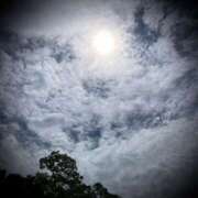 ヒメ日記 2025/06/16 10:32 投稿 浅見怜 五十路マダム 新潟店(カサブランカグループ)