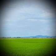 ヒメ日記 2025/06/16 12:06 投稿 浅見怜 五十路マダム 新潟店(カサブランカグループ)