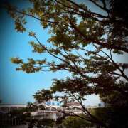 ヒメ日記 2025/06/19 09:32 投稿 浅見怜 五十路マダム 新潟店(カサブランカグループ)