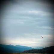 ヒメ日記 2025/06/19 18:04 投稿 浅見怜 五十路マダム 新潟店(カサブランカグループ)