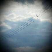 ヒメ日記 2025/06/19 23:32 投稿 浅見怜 五十路マダム 新潟店(カサブランカグループ)