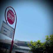 ヒメ日記 2025/06/20 14:42 投稿 浅見怜 五十路マダム 新潟店(カサブランカグループ)