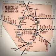 ヒメ日記 2025/06/20 22:40 投稿 浅見怜 五十路マダム 新潟店(カサブランカグループ)