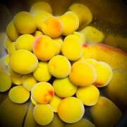 ヒメ日記 2025/06/22 23:04 投稿 浅見怜 五十路マダム 新潟店(カサブランカグループ)