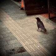 ヒメ日記 2025/06/25 11:46 投稿 浅見怜 五十路マダム 新潟店(カサブランカグループ)