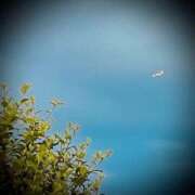 ヒメ日記 2025/06/26 17:02 投稿 浅見怜 五十路マダム 新潟店(カサブランカグループ)