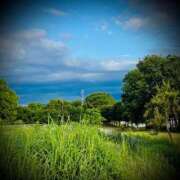 ヒメ日記 2025/06/26 17:30 投稿 浅見怜 五十路マダム 新潟店(カサブランカグループ)