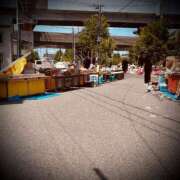 ヒメ日記 2025/06/30 14:16 投稿 浅見怜 五十路マダム 新潟店(カサブランカグループ)