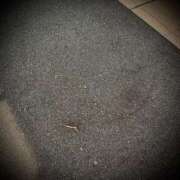 ヒメ日記 2025/07/05 22:32 投稿 浅見怜 五十路マダム 新潟店(カサブランカグループ)