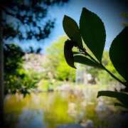 ヒメ日記 2025/07/07 23:46 投稿 浅見怜 五十路マダム 新潟店(カサブランカグループ)