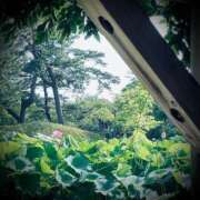 ヒメ日記 2025/07/10 04:18 投稿 浅見怜 五十路マダム 新潟店(カサブランカグループ)