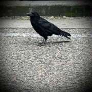 ヒメ日記 2025/07/10 09:06 投稿 浅見怜 五十路マダム 新潟店(カサブランカグループ)