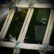 ヒメ日記 2025/07/11 03:30 投稿 浅見怜 五十路マダム 新潟店(カサブランカグループ)