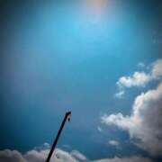 ヒメ日記 2025/07/12 02:04 投稿 浅見怜 五十路マダム 新潟店(カサブランカグループ)