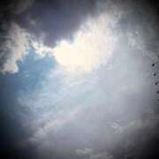 ヒメ日記 2025/07/12 20:04 投稿 浅見怜 五十路マダム 新潟店(カサブランカグループ)