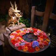 ヒメ日記 2025/07/14 00:10 投稿 浅見怜 五十路マダム 新潟店(カサブランカグループ)