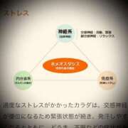 ヒメ日記 2025/07/19 22:16 投稿 浅見怜 五十路マダム 新潟店(カサブランカグループ)