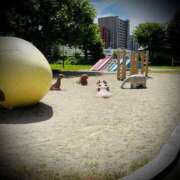 ヒメ日記 2025/07/27 00:32 投稿 浅見怜 五十路マダム 新潟店(カサブランカグループ)