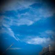 ヒメ日記 2025/07/27 02:00 投稿 浅見怜 五十路マダム 新潟店(カサブランカグループ)