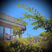 ヒメ日記 2025/08/01 21:02 投稿 浅見怜 五十路マダム 新潟店(カサブランカグループ)