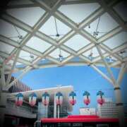 ヒメ日記 2025/08/03 11:02 投稿 浅見怜 五十路マダム 新潟店(カサブランカグループ)