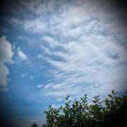 ヒメ日記 2025/08/10 22:48 投稿 浅見怜 五十路マダム 新潟店(カサブランカグループ)