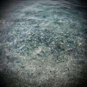 ヒメ日記 2025/08/17 18:02 投稿 浅見怜 五十路マダム 新潟店(カサブランカグループ)