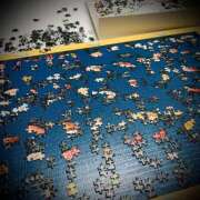 ヒメ日記 2025/08/19 03:00 投稿 浅見怜 五十路マダム 新潟店(カサブランカグループ)