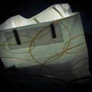 ヒメ日記 2025/08/24 22:46 投稿 浅見怜 五十路マダム 新潟店(カサブランカグループ)