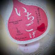 ヒメ日記 2025/08/26 08:02 投稿 浅見怜 五十路マダム 新潟店(カサブランカグループ)