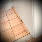 ヒメ日記 2025/08/26 13:02 投稿 浅見怜 五十路マダム 新潟店(カサブランカグループ)