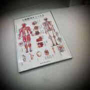 ヒメ日記 2025/08/28 01:00 投稿 浅見怜 五十路マダム 新潟店(カサブランカグループ)