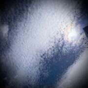 ヒメ日記 2025/08/29 23:48 投稿 浅見怜 五十路マダム 新潟店(カサブランカグループ)