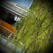 ヒメ日記 2025/09/02 11:04 投稿 浅見怜 五十路マダム 新潟店(カサブランカグループ)