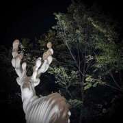 ヒメ日記 2025/09/05 22:56 投稿 浅見怜 五十路マダム 新潟店(カサブランカグループ)