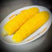 ヒメ日記 2025/09/16 23:40 投稿 浅見怜 五十路マダム 新潟店(カサブランカグループ)