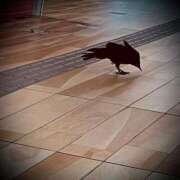 ヒメ日記 2025/09/17 21:08 投稿 浅見怜 五十路マダム 新潟店(カサブランカグループ)