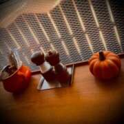 ヒメ日記 2025/09/24 11:04 投稿 浅見怜 五十路マダム 新潟店(カサブランカグループ)