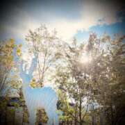 ヒメ日記 2025/09/25 16:02 投稿 浅見怜 五十路マダム 新潟店(カサブランカグループ)