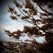 ヒメ日記 2025/09/29 10:16 投稿 浅見怜 五十路マダム 新潟店(カサブランカグループ)