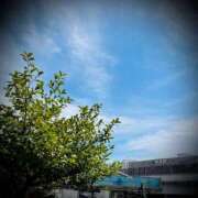 ヒメ日記 2025/10/05 20:52 投稿 浅見怜 五十路マダム 新潟店(カサブランカグループ)