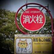 ヒメ日記 2025/10/05 23:50 投稿 浅見怜 五十路マダム 新潟店(カサブランカグループ)