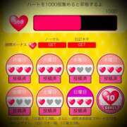 ヒメ日記 2025/10/07 00:06 投稿 浅見怜 五十路マダム 新潟店(カサブランカグループ)