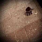 ヒメ日記 2025/10/17 21:34 投稿 浅見怜 五十路マダム 新潟店(カサブランカグループ)