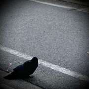 ヒメ日記 2025/10/18 12:06 投稿 浅見怜 五十路マダム 新潟店(カサブランカグループ)