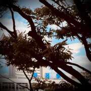 ヒメ日記 2025/10/28 11:04 投稿 浅見怜 五十路マダム 新潟店(カサブランカグループ)